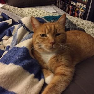 Meet your Posher, Sally